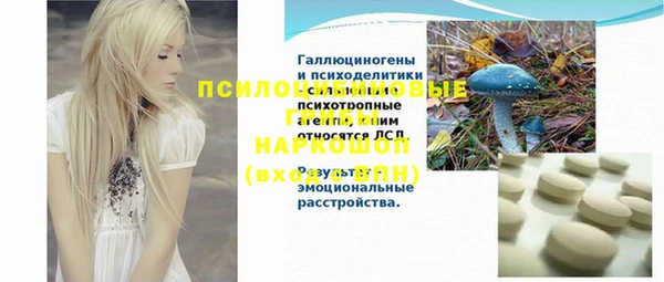 прущая мука Нея