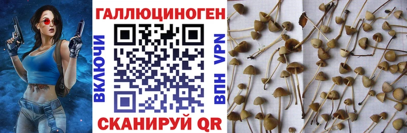 Псилоцибиновые грибы ЛСД купить наркотики цена кракен онион Калачинск